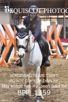 03rd JANUARY 2026 - NST Maranzo Stud Winter Unaffiliated Show Jumping - MUIRMILL EC portfolio