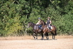 WJ6_7844