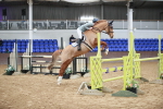 SBM_000897
