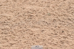 230611A-093534-04542