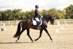 SBM_003452