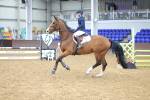 SBM_009371