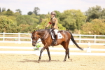SBM_013783