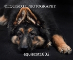 equiscot1832