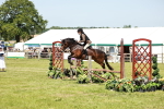 SBM_16384