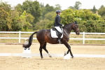 SBM_002952