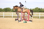 SBM_009392