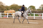 SBM_000051