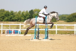 SBM_000311