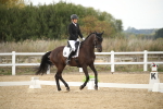 SBM_003020
