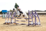 SBM_002954