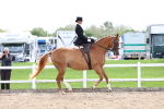 SBM_03309