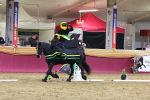 SBM_09871