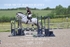 BPP_1229