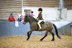SBM_008950