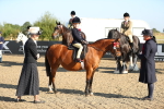 SBM_00384