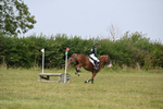 WJ6_1696