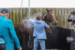 230824-Race 4-Bradsell-8446