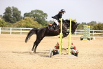 SBM_002160