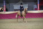 SBM_09338