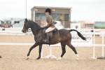 SBM_19154
