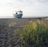 Aldeburgh Boat 1