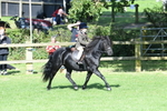 SBM_50344