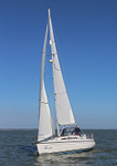 130420 AMARE WT7A5418