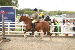 SBM_04813