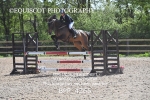 BPP_4266