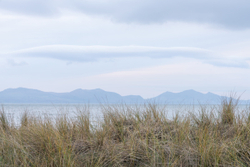 Mountain Grass Seascape - Llanddwyn beach, Anglesey, Wales.