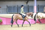 SBM_03330