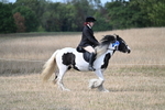 WJ7_7635