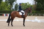 Class 3 - Team Quest Prelim 2 portfolio