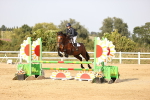 SBM_04013