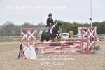BPP_4382