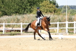 SBM_001764