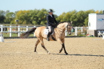 SBM_001782