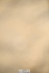 251004A-152045-01792