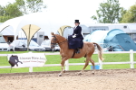 SBM_03321