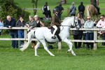 SBM_51808
