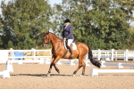 SBM_01601