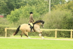 SBM_71881