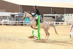 SBM_001924