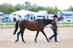 SBM_15319