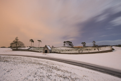 #75  The Curragh Cemetery I