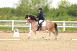 SBM_006440