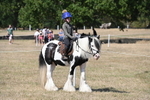 WJ6_9116