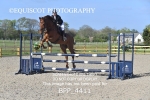 BPP_4411