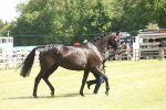 SBM_09089